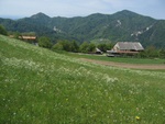 img_0914.jpg