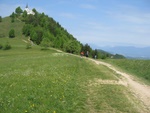 img_0916.jpg
