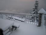 img_5398.jpg