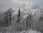 img_5404.jpg