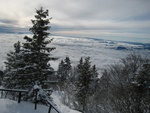 img_3810.jpg