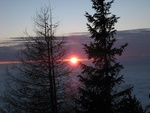 img_3973.jpg