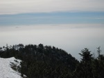 img_4699.jpg