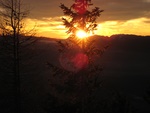 img_4228.jpg