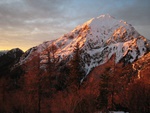img_4229.jpg