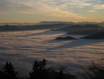 img_4314.jpg