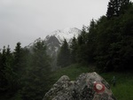 img_5876.jpg