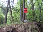 img_5606.jpg
