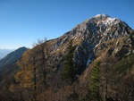 img_3399.jpg