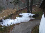 img_3333.jpg