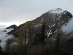 img_3335.jpg