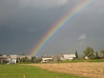 img_8379.jpg