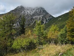 img_8407.jpg