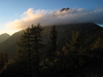 img_8490.jpg