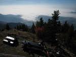 img_8556.jpg