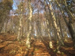 img_8642.jpg