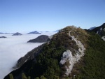 dscf2461.jpg
