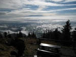 img_8848.jpg