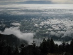 img_8853.jpg