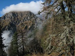 img_8874.jpg
