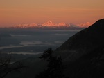 img_8916.jpg