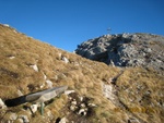 img_8947.jpg