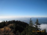img_8966.jpg