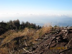 img_8967.jpg