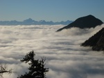 img_9135.jpg