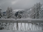 img_9372.jpg
