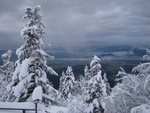 img_9458.jpg
