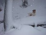 dsc07111.jpg