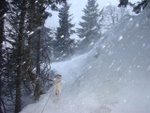 dsc07113.jpg