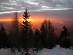 img_0901.jpg