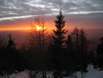 img_0905.jpg