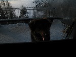 img_1127.jpg