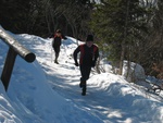 img_1152.jpg