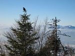 img_1167.jpg