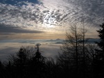 img_0930.jpg