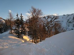 img_1225.jpg
