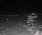 img_1429.jpg