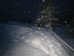 img_1462.jpg
