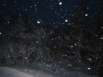 img_1463.jpg