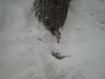 img_1475.jpg