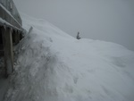 img_1479.jpg