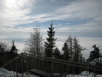 img_1618.jpg