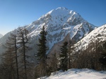 img_1644.jpg