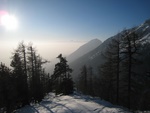 img_1645.jpg
