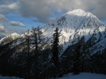 img_1735.jpg