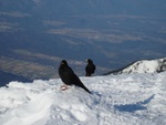 dsc00875.jpg